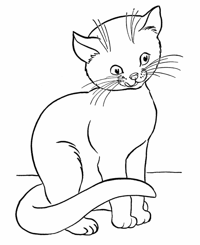 Desenhos de Gato para Colorir, Pintar e Imprimir 