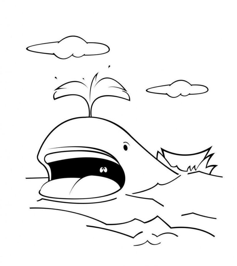 Desenho para colorir de baleia com bico em preto e branco · Creative Fabrica