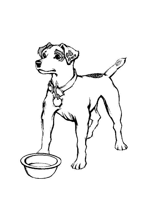40 Desenhos de Cachorros fofos e Lindos prontos para você Colorir