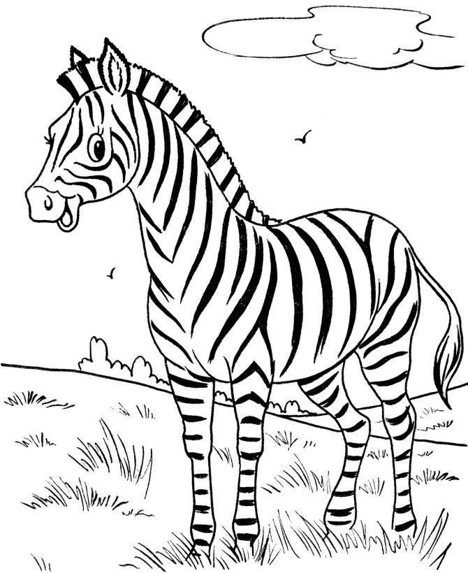1) Google OQ. zebras para colorir TODAS IMAGENS NOTÍCIAS SHOPPING VÍDEOS do  rosto (P I imprimir animais Zebras para colorir I Desenhos par  amordepapeis.com.br 3000+ Desenhos para Colorir I Zeb br 