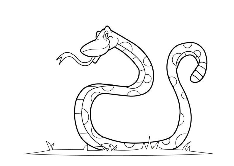 Desenho de Cobra bonita para colorir - Tudodesenhos