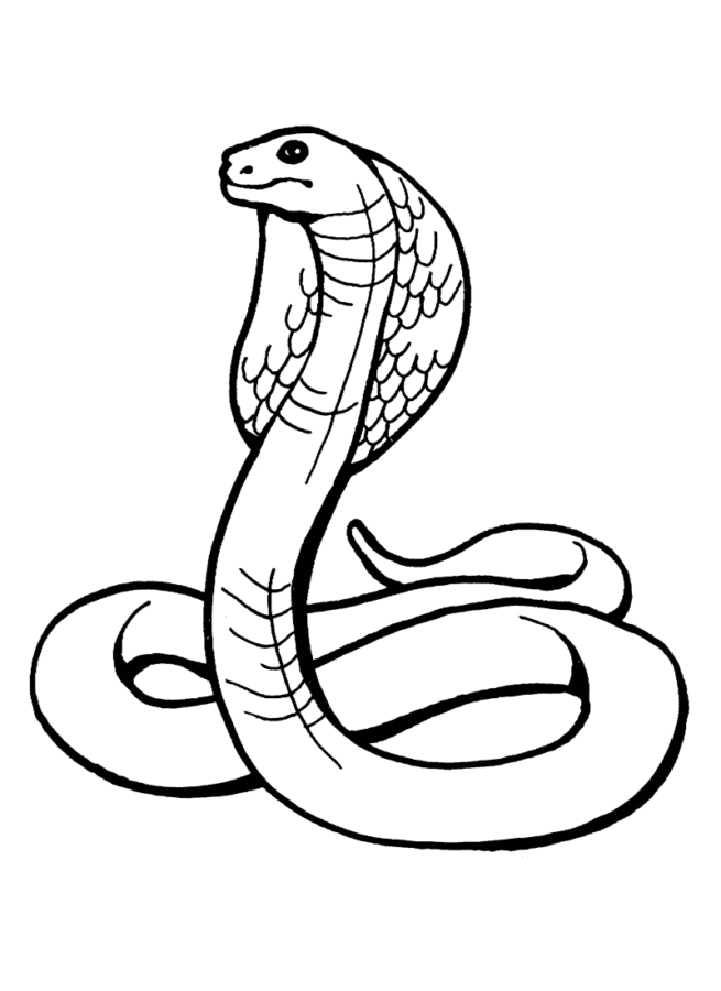 Desenho de Emoji de cobra para colorir