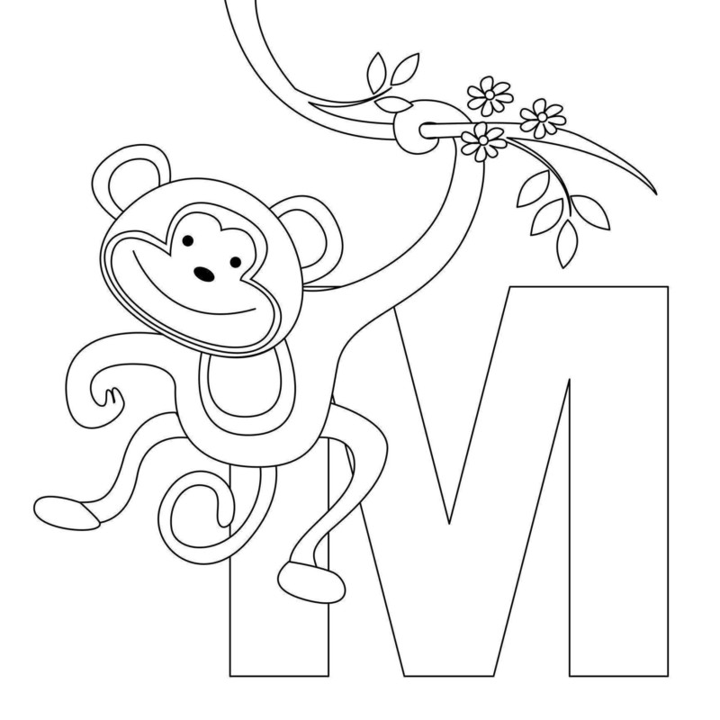 50 Desenhos de Macacos para Colorir