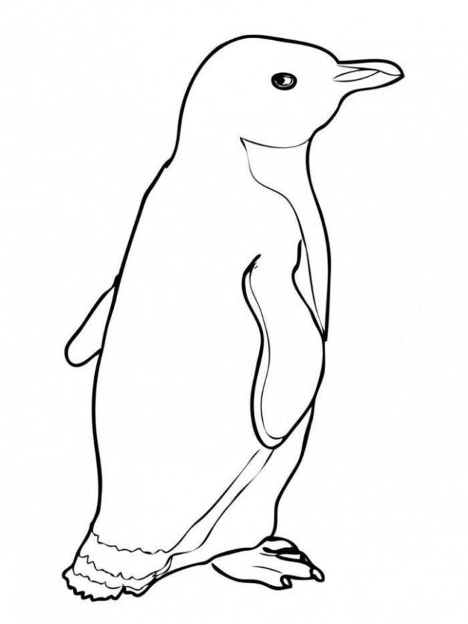 páginas para colorir de pinguins de natal kawaii fofos 4511369 Vetor no  Vecteezy