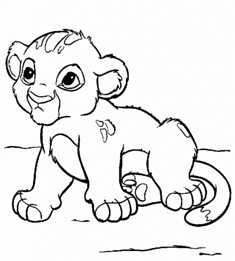 Desenhos Do Simba Para Imprimir E Colorir