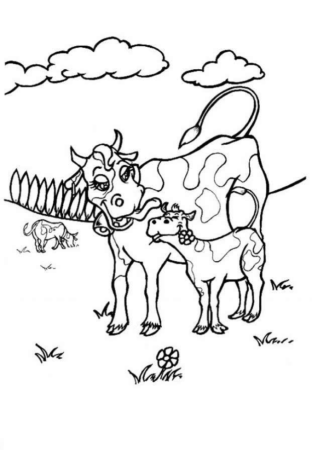 Desenho para colorir fofinhos de vacas · Creative Fabrica