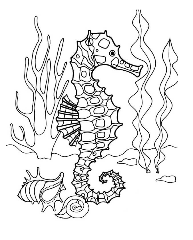 57 Desenhos de Cavalo-Marinho para Imprimir e Colorir/Pintar