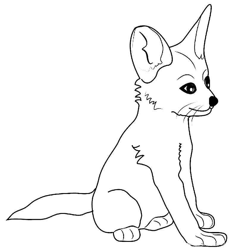 Desenho de Animal médico - raposas e gato para colorir