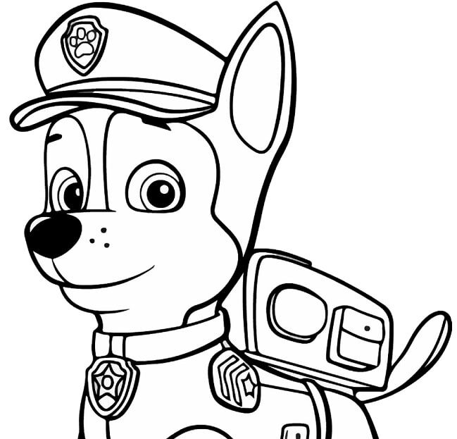 Desenhos pintar da patrulha canina