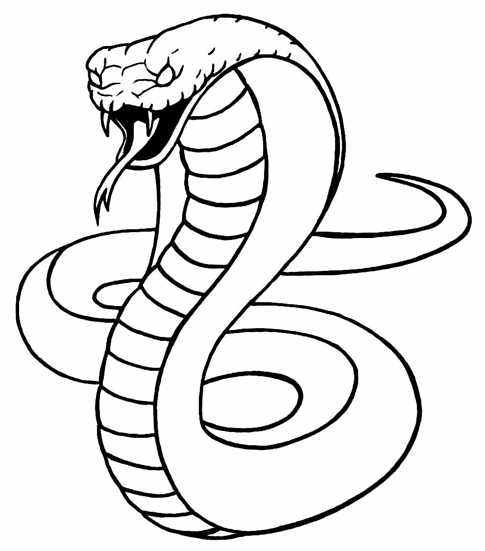 Desenhos de Cobra - Como desenhar Cobra passo a passo