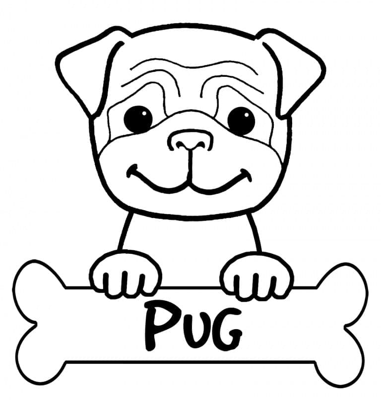 Pug para Colorir