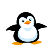 Pinguins para Colorir
