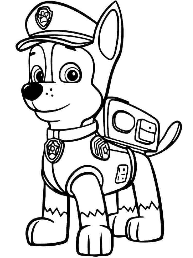 Patrulha Canina para Colorir